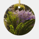 Search for “big christmas tree decorations Park