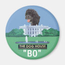 Search for boing magnets Obama