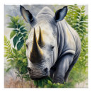 Search for rhinos posters Wild