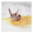 Search for mouse posters Nature