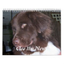 Search for newfoundland dog calendars Landseer