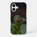 Search for ladybird iphone cases Insect