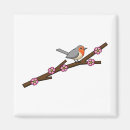 Search for sakura magnets Birds