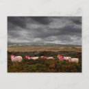 Search for gower Landscape