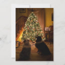 Search for aussie seasonal cards Australian shepherds