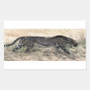 Search for spotted cats stickers Wildlife