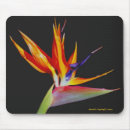 Search for paradise mousepads Flower