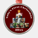 Search for pet photo christmas tree decorations Colourful