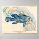 Search for vintage cape cod posters Map
