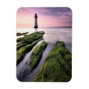 Search for brighton magnets United kingdom