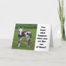Search for burro cards Funny