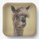 Search for alpaca plates Funny