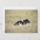 Search for pasture invitations Meadow