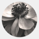 Search for sympathy stickers Nature