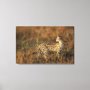 Search for game reserve art Joe