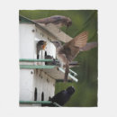 Search for feeding time Nature