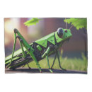 Search for insect pillowcases Grasshopper