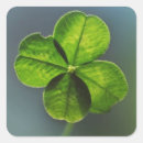 Search for lucky clover stickers Charm