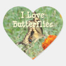 Search for swallowtail stickers Photography