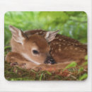 Search for habitat mousepads Cute