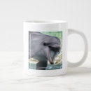 Search for getty images mugs Smiling