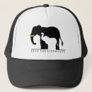 Search for elephants hats Baby elephant