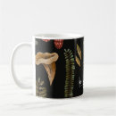 Search for amanita mugs Botanical