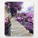 Search for forest path electronics Nature