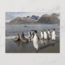 Search for strut postcards Nature