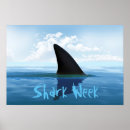 Search for shark posters Beach