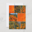 Search for ca note cards Orange