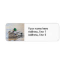 Search for mallard return address labels Animal