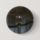 Search for eagles badges Wildlife
