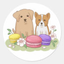 Search for cute macaron stickers Dessert