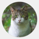 Search for spring tree stickers Garden