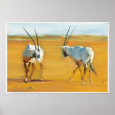 Search for 2010 posters Wild animal