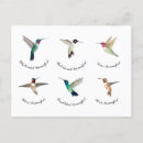 Search for colibri postcards Nature