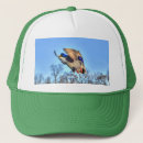 Search for mallards hats Wildlife