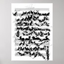 Search for symphony posters Vintage