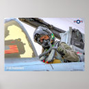 Search for fighter pilot posters Marine