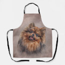 Search for drawing aprons Animals