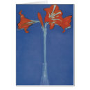 Search for amaryllis Vintage