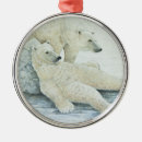 Search for holiday polar bear christmas tree decorations Animals