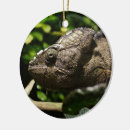 Search for chameleon christmas tree decorations Madagascar