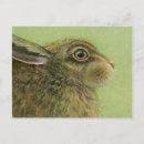 Search for rabbit painting postcards Hare