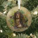 Search for picardy Spaniel