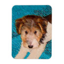 Search for wire magnets Wire fox terrier