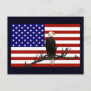Search for independence day postcards Bald eagle