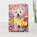 Search for adorable dog cards Puppy
