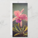 Search for cattleya cards Hummingbirds